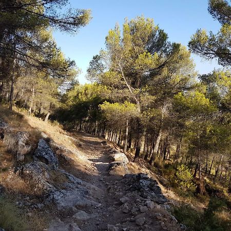 Apartamentos Rurales La Dehesa Del Acebuche Jaén Eksteriør billede
