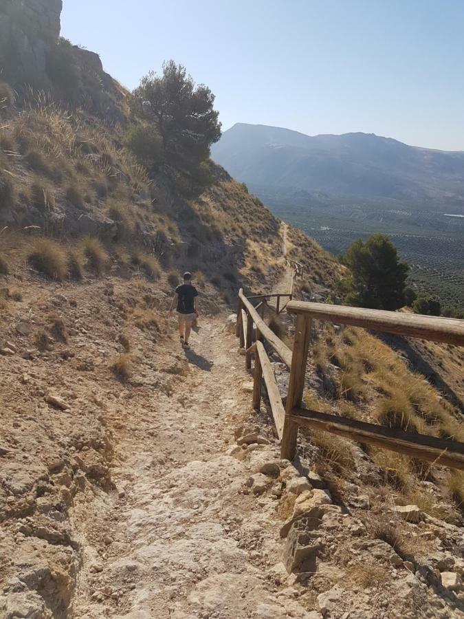 Apartamentos Rurales La Dehesa Del Acebuche Jaén Eksteriør billede