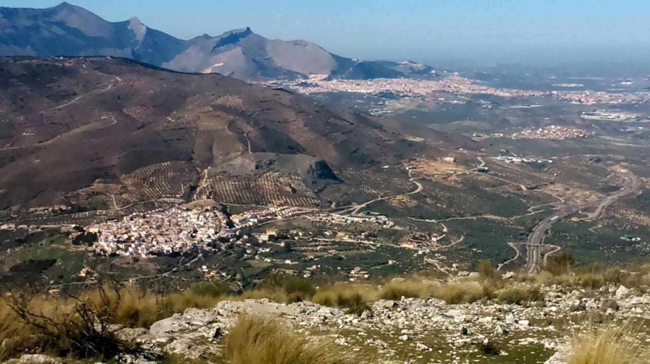 Apartamentos Rurales La Dehesa Del Acebuche Jaén Eksteriør billede