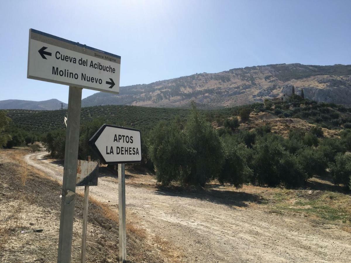 Apartamentos Rurales La Dehesa Del Acebuche Jaén Eksteriør billede