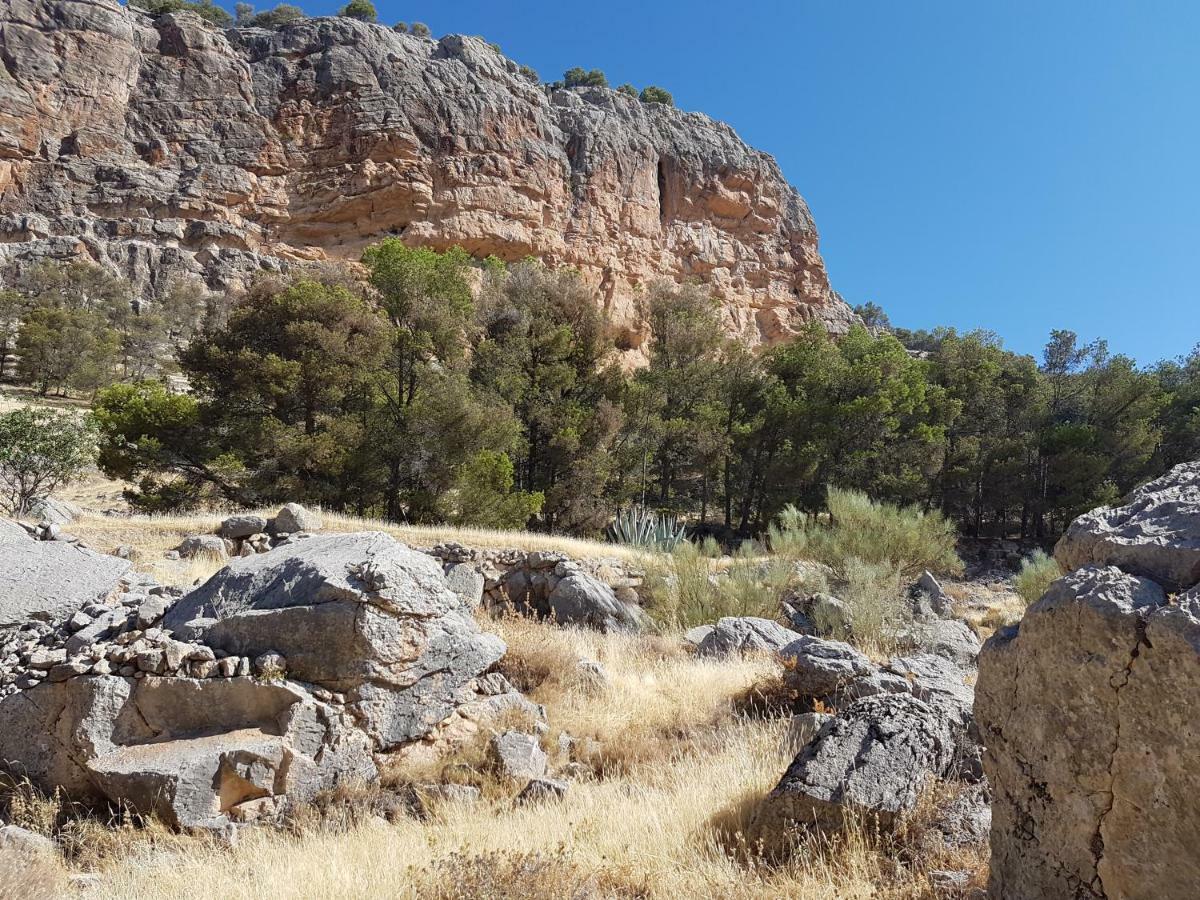 Apartamentos Rurales La Dehesa Del Acebuche Jaén Eksteriør billede